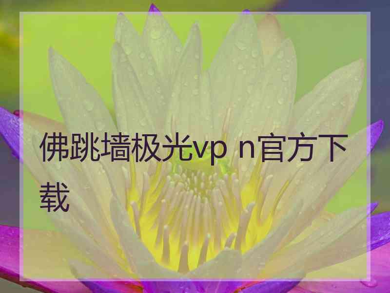 佛跳墙极光vp n官方下载