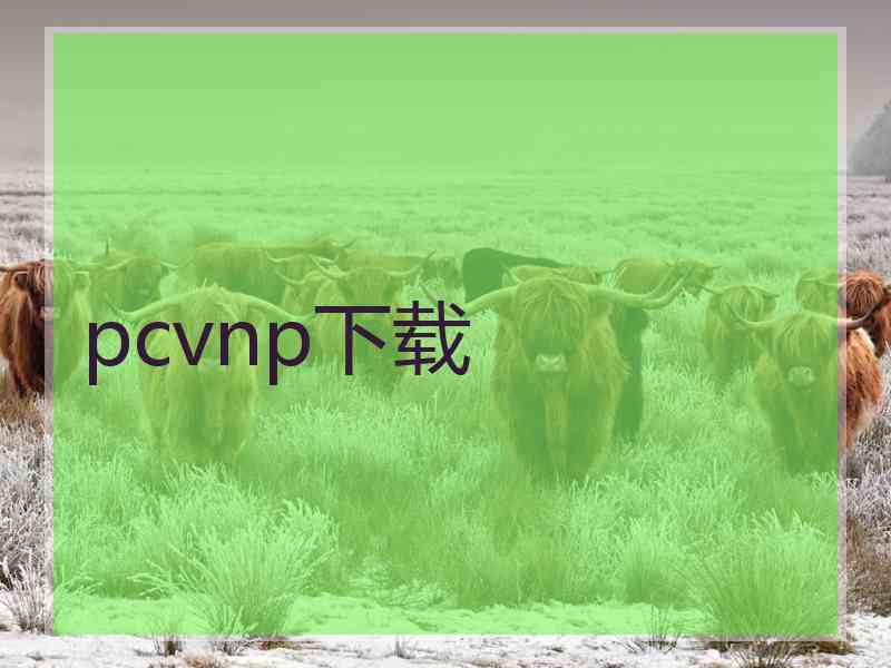 pcvnp下载