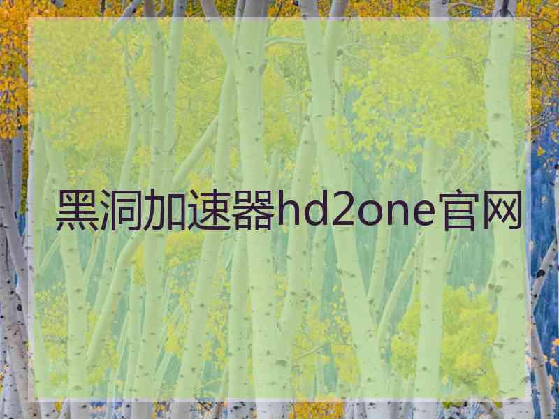 黑洞加速器hd2one官网