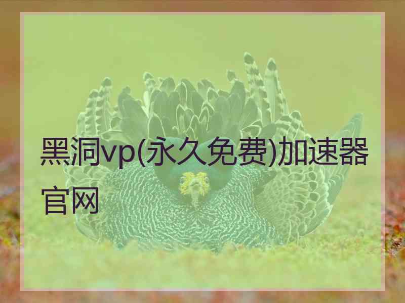 黑洞vp(永久免费)加速器官网