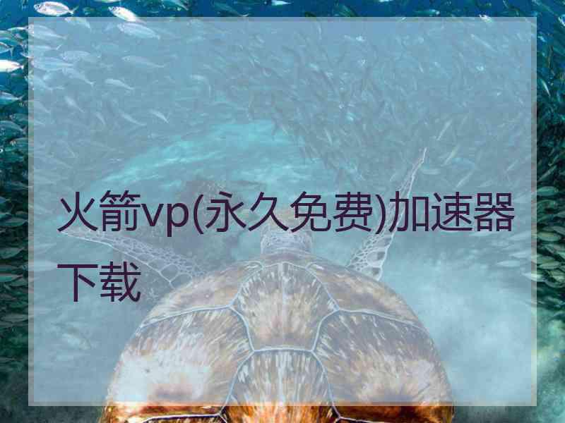 火箭vp(永久免费)加速器下载