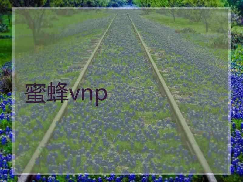 蜜蜂vnp