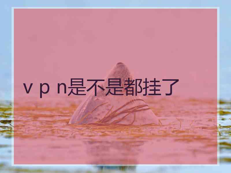 v p n是不是都挂了