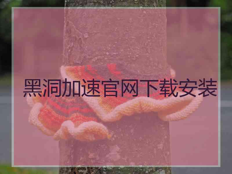 黑洞加速官网下载安装