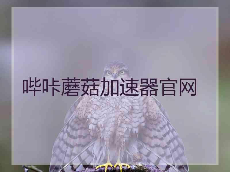 哔咔蘑菇加速器官网