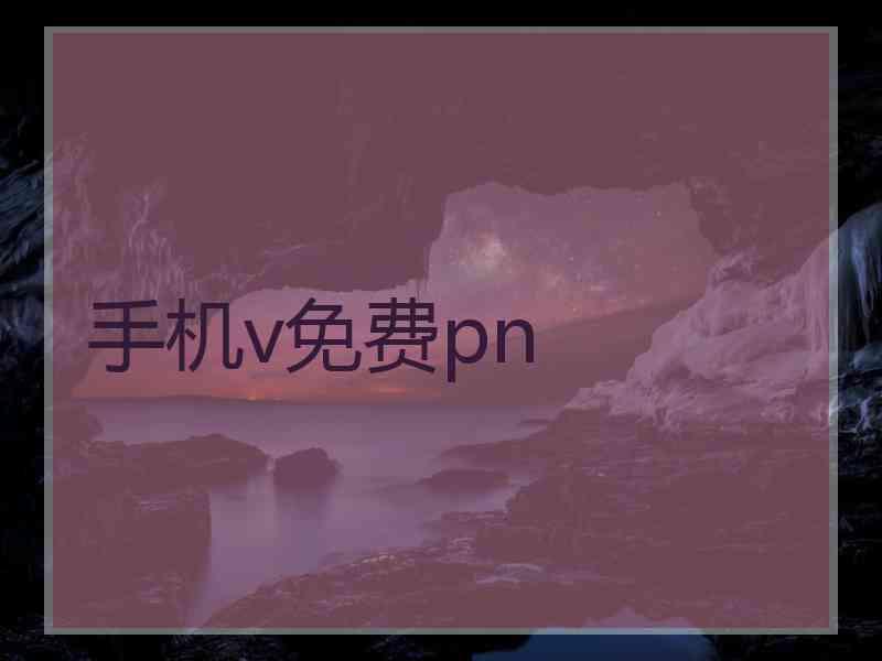 手机v免费pn