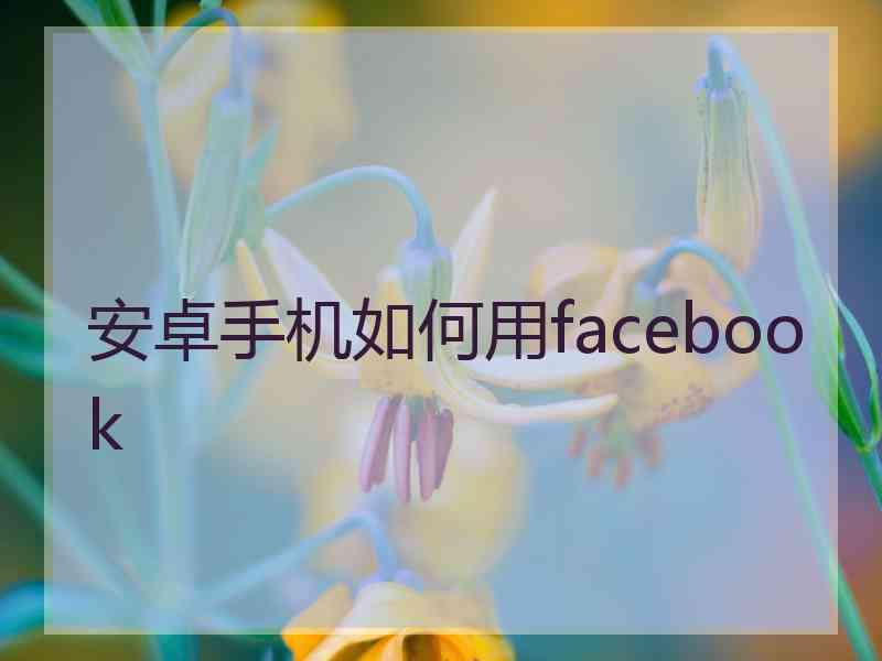 安卓手机如何用facebook