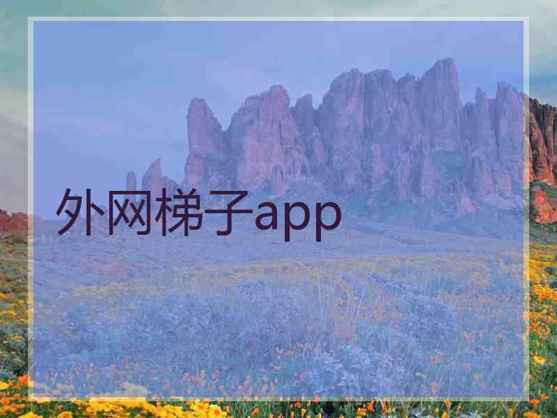 外网梯子app