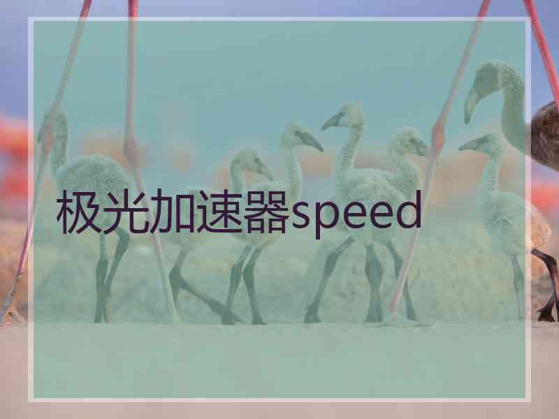 极光加速器speed