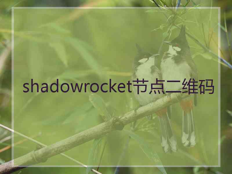 shadowrocket节点二维码