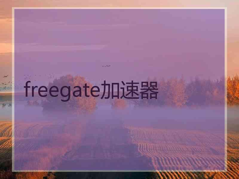 freegate加速器