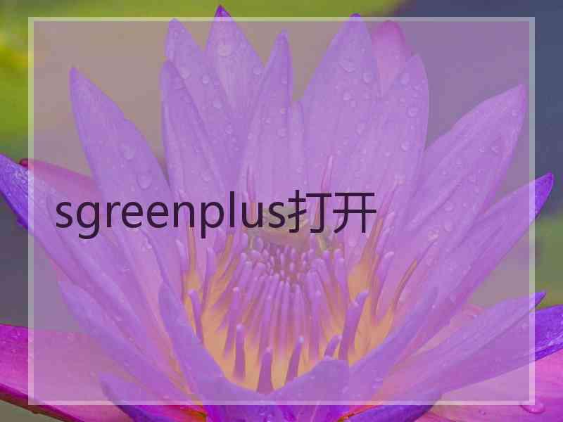 sgreenplus打开