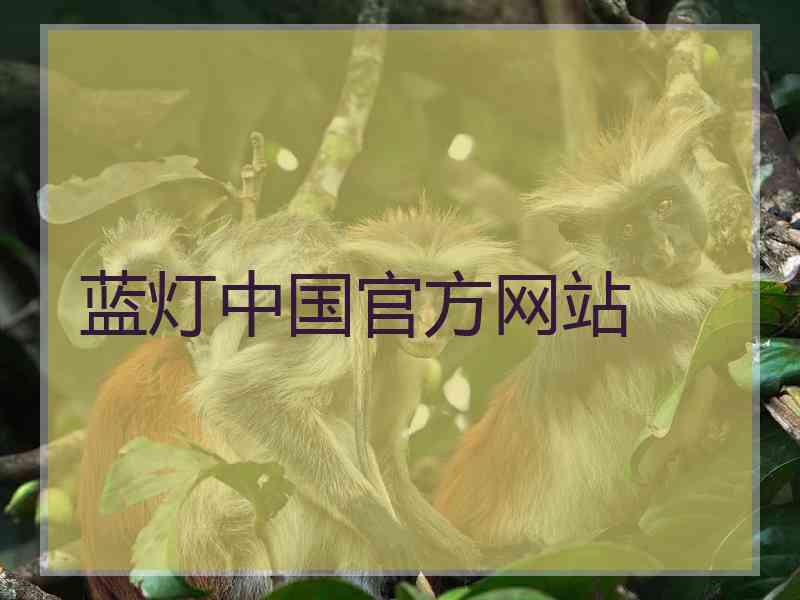 蓝灯中国官方网站