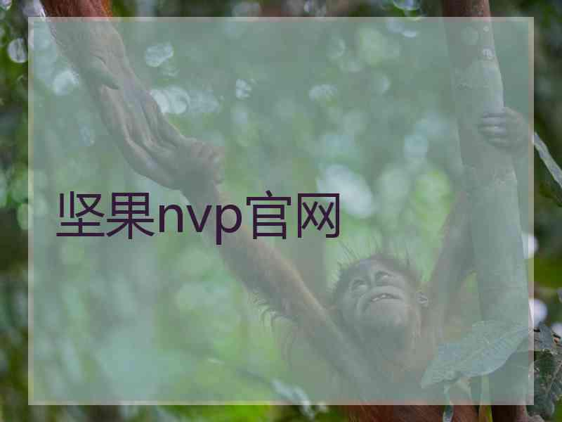 坚果nvp官网