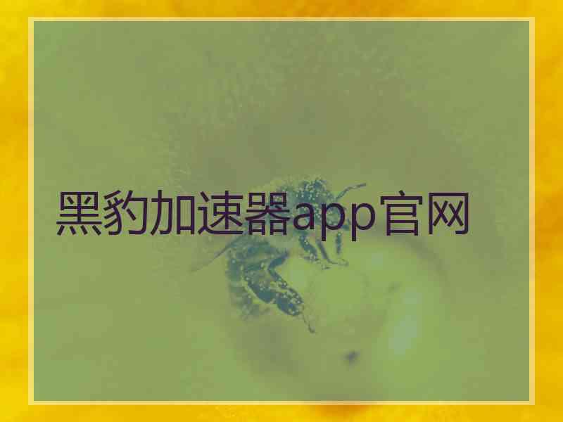 黑豹加速器app官网