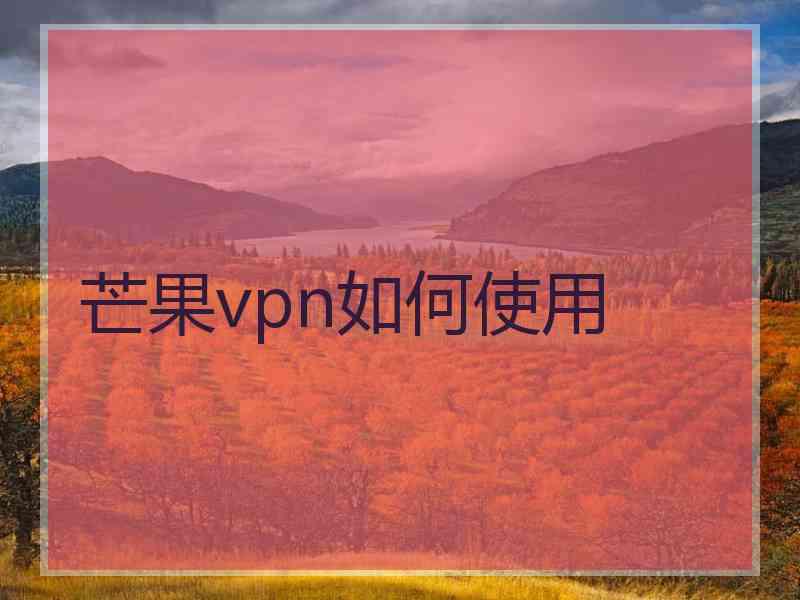 芒果vpn如何使用