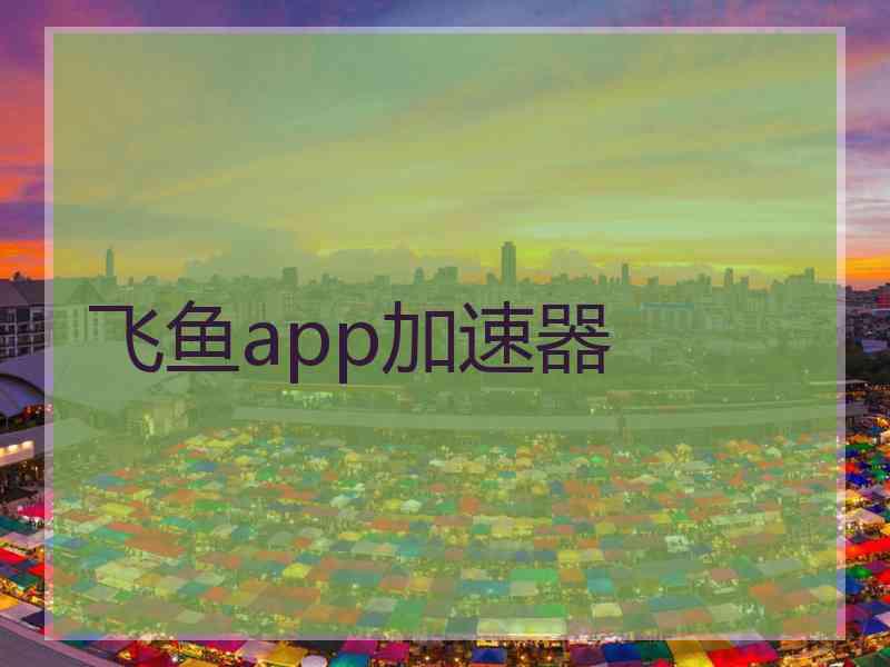 飞鱼app加速器