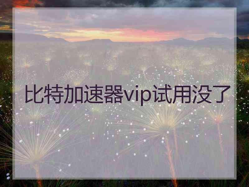 比特加速器vip试用没了