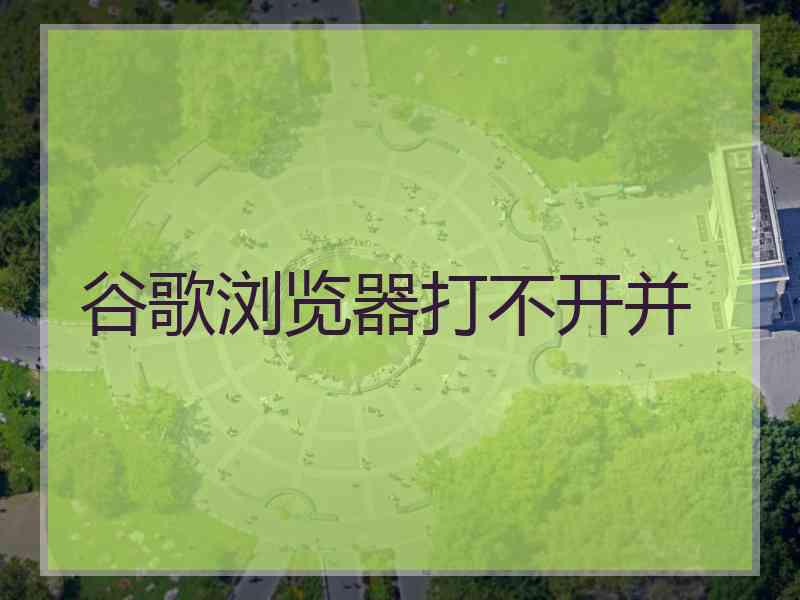 谷歌浏览器打不开并