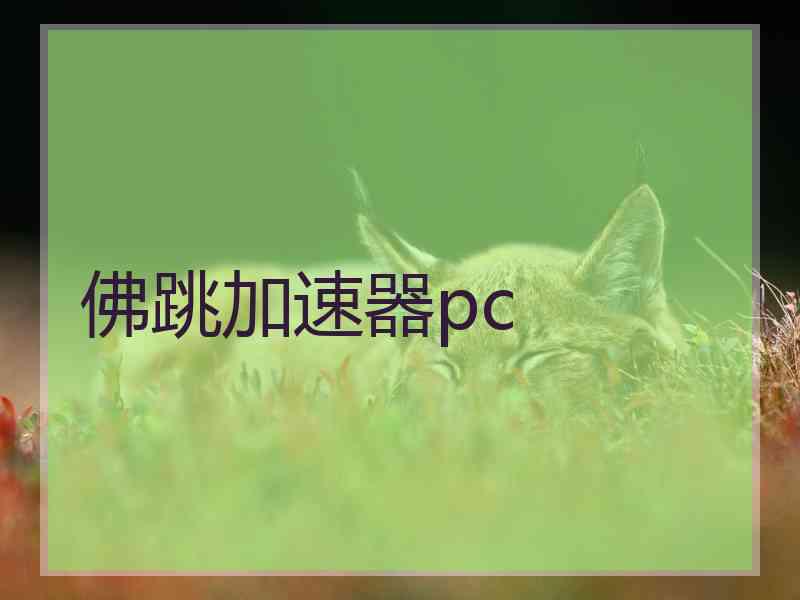 佛跳加速器pc