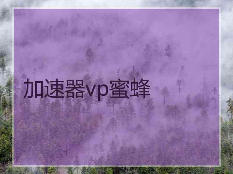 加速器vp蜜蜂