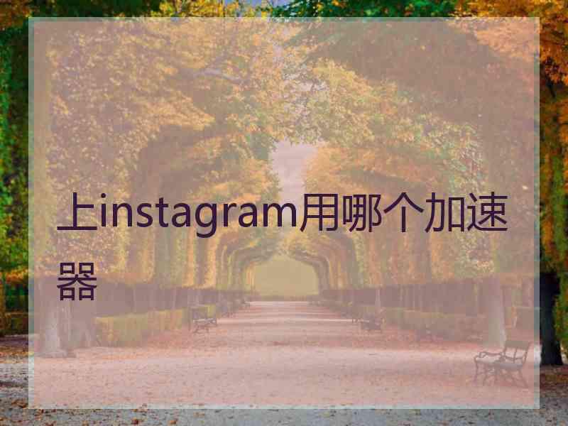 上instagram用哪个加速器