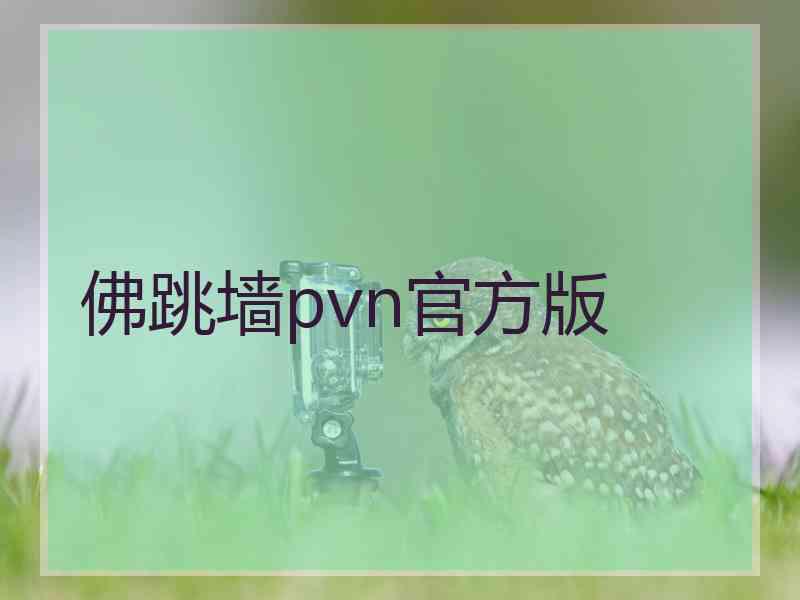 佛跳墙pvn官方版