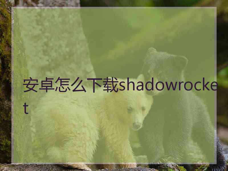 安卓怎么下载shadowrocket