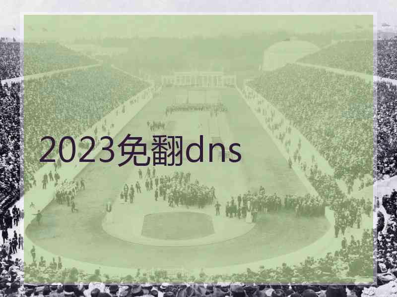 2023免翻dns