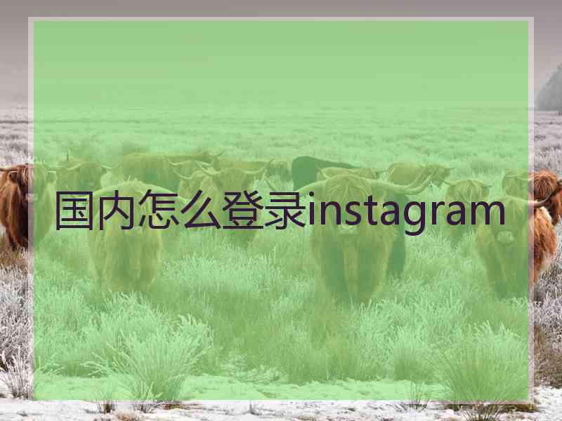 国内怎么登录instagram