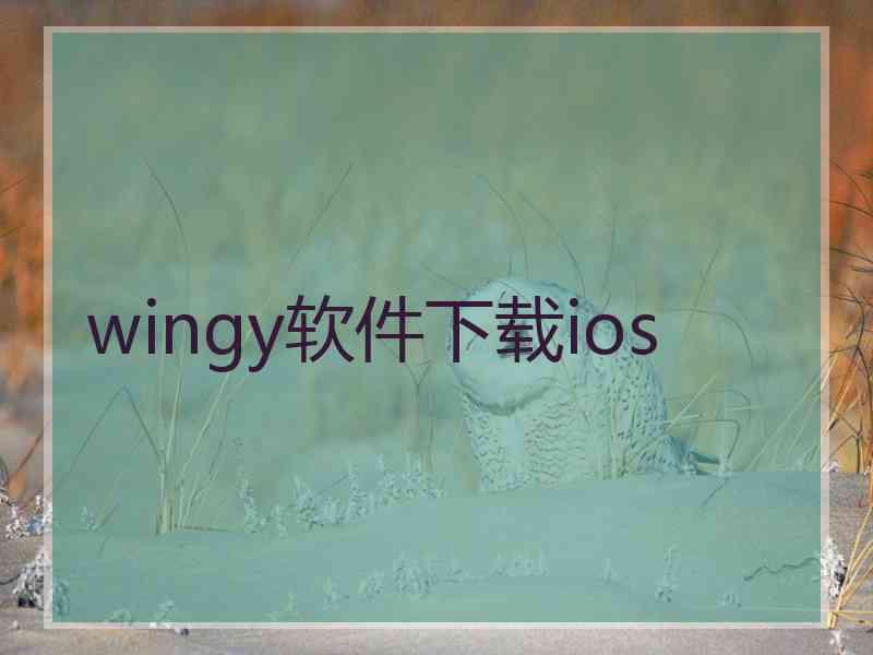 wingy软件下载ios