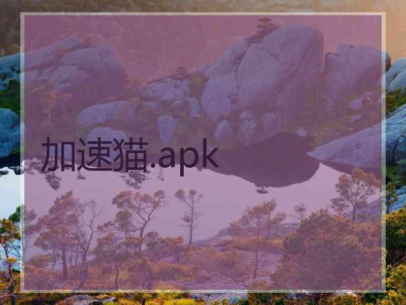 加速猫.apk