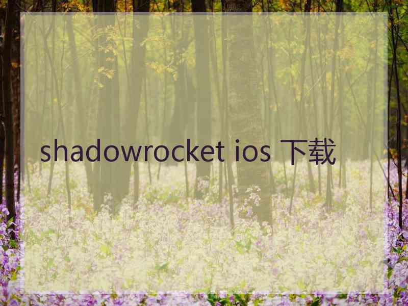 shadowrocket ios 下载