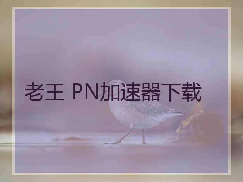 老王 PN加速器下载