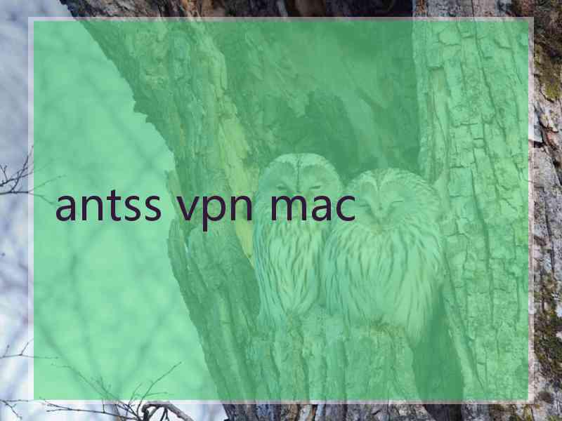 antss vpn mac