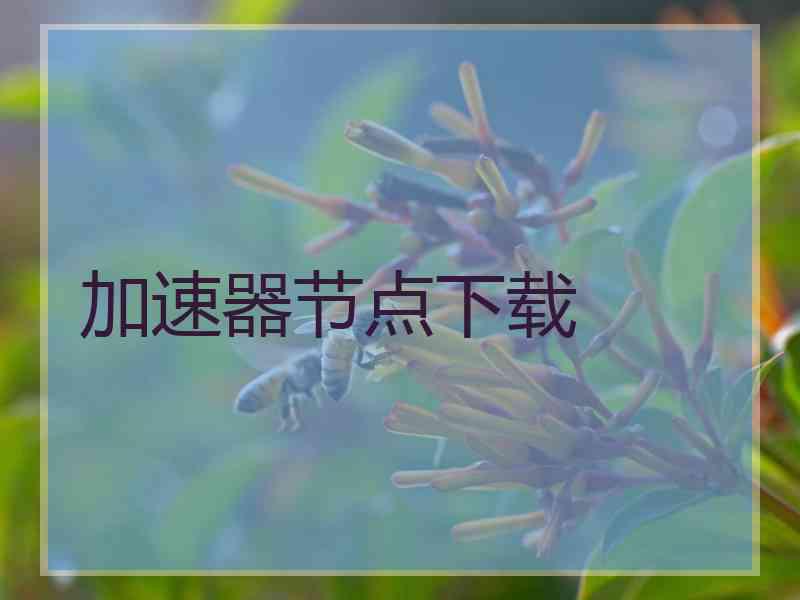 加速器节点下载