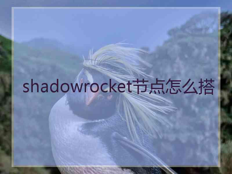 shadowrocket节点怎么搭