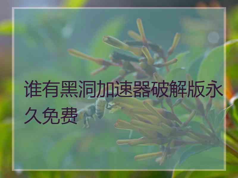 谁有黑洞加速器破解版永久免费