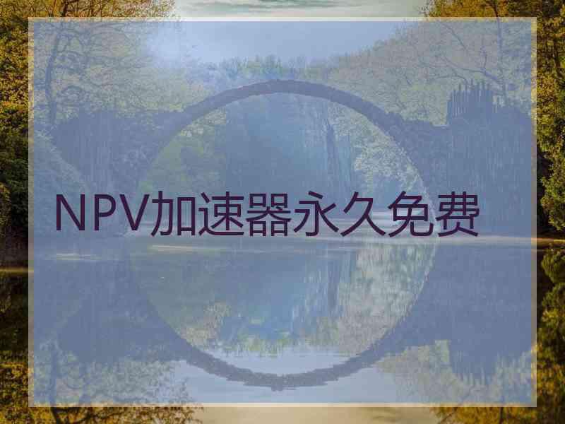 NPV加速器永久免费