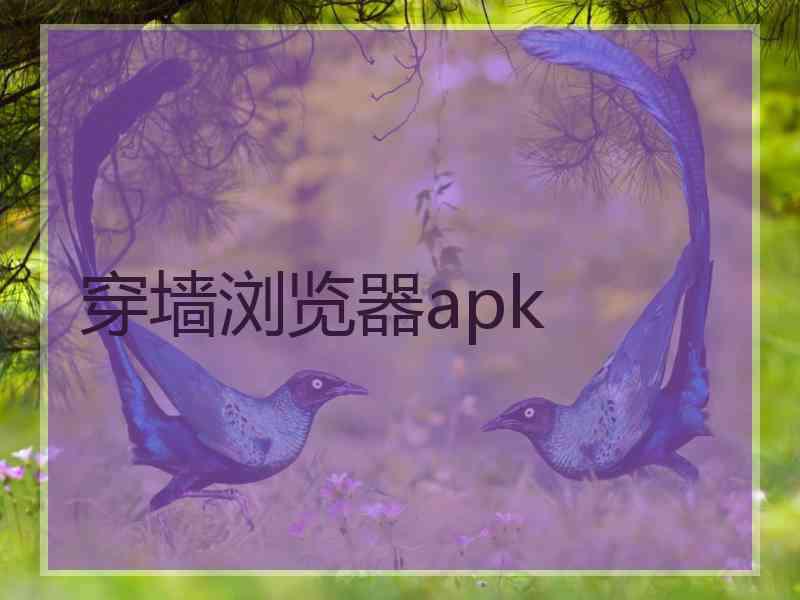 穿墙浏览器apk