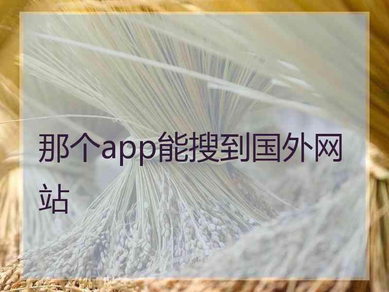 那个app能搜到国外网站