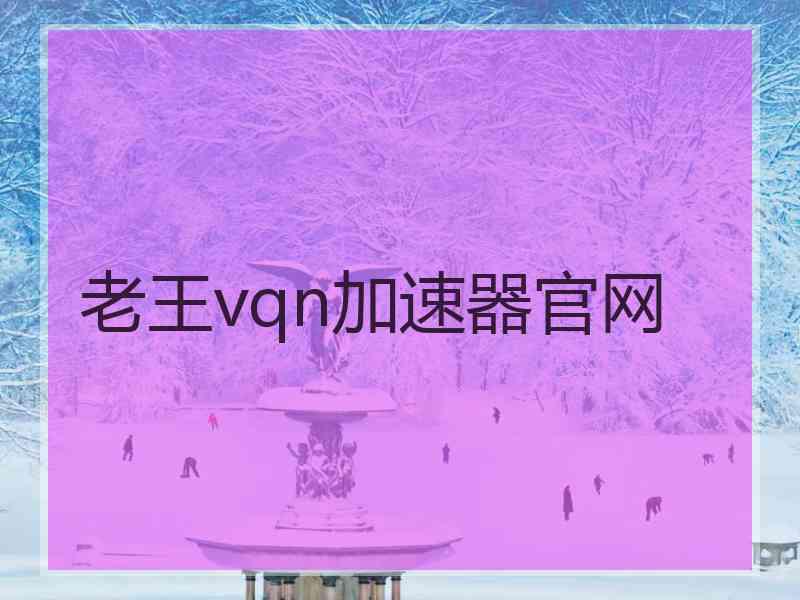 老王vqn加速器官网