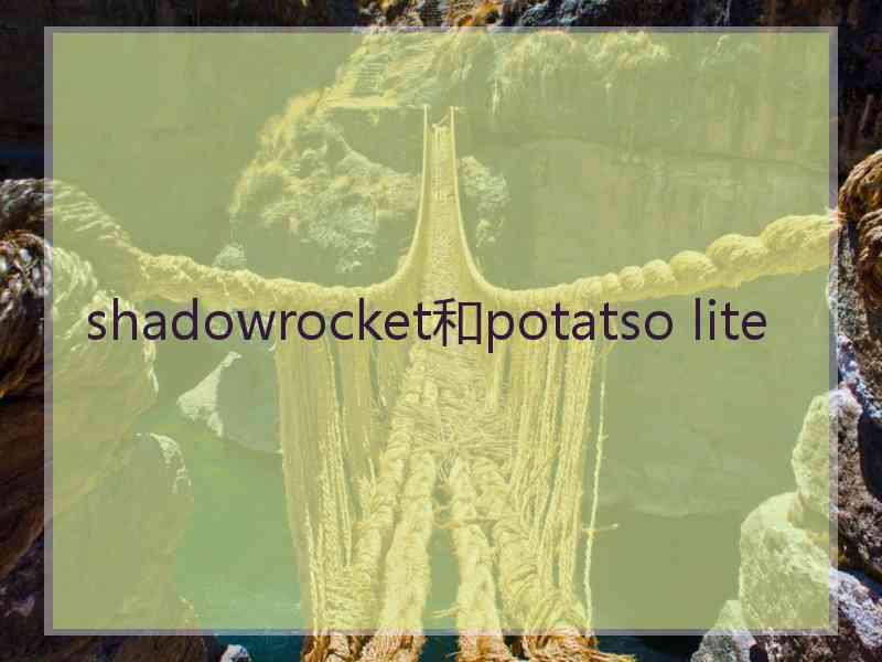 shadowrocket和potatso lite