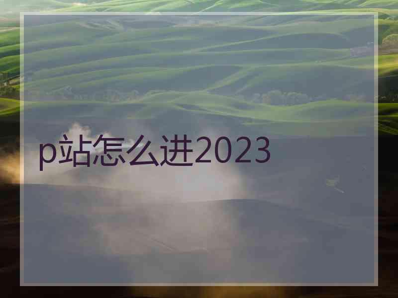 p站怎么进2023