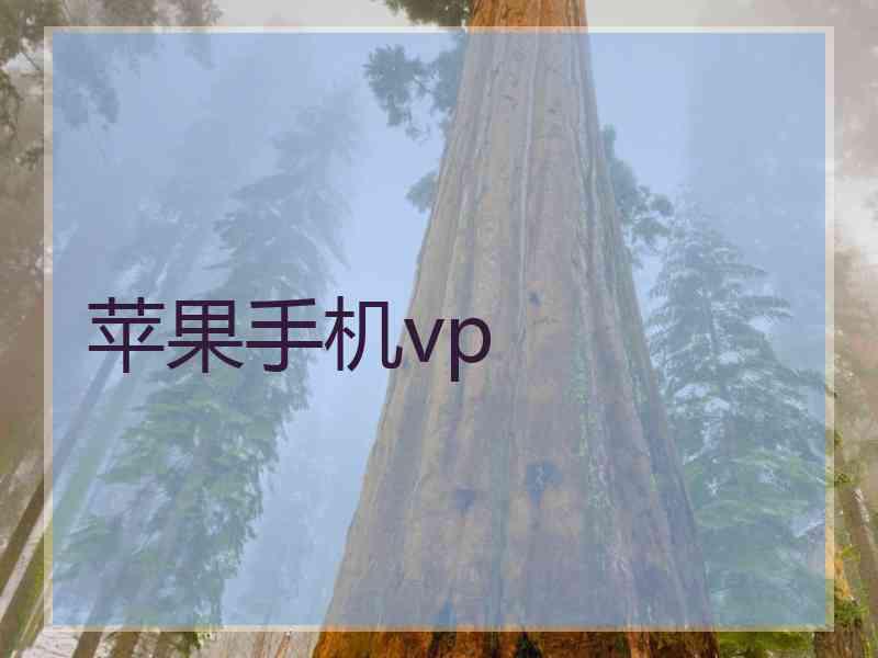 苹果手机vp