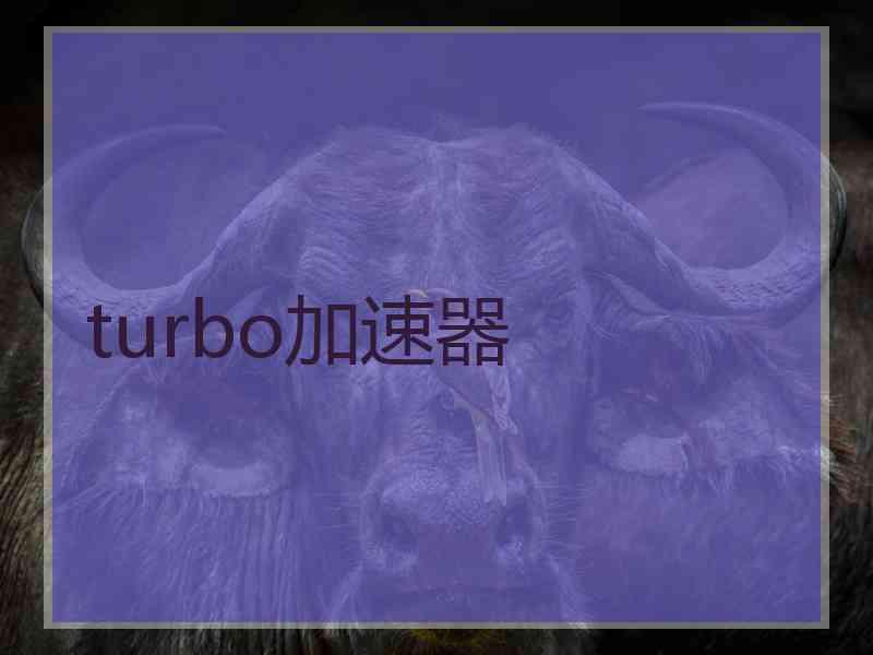 turbo加速器