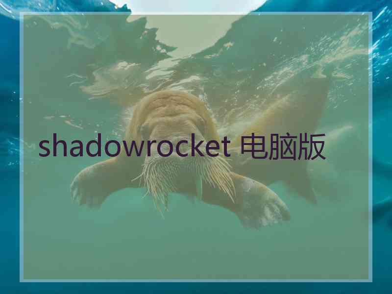 shadowrocket 电脑版