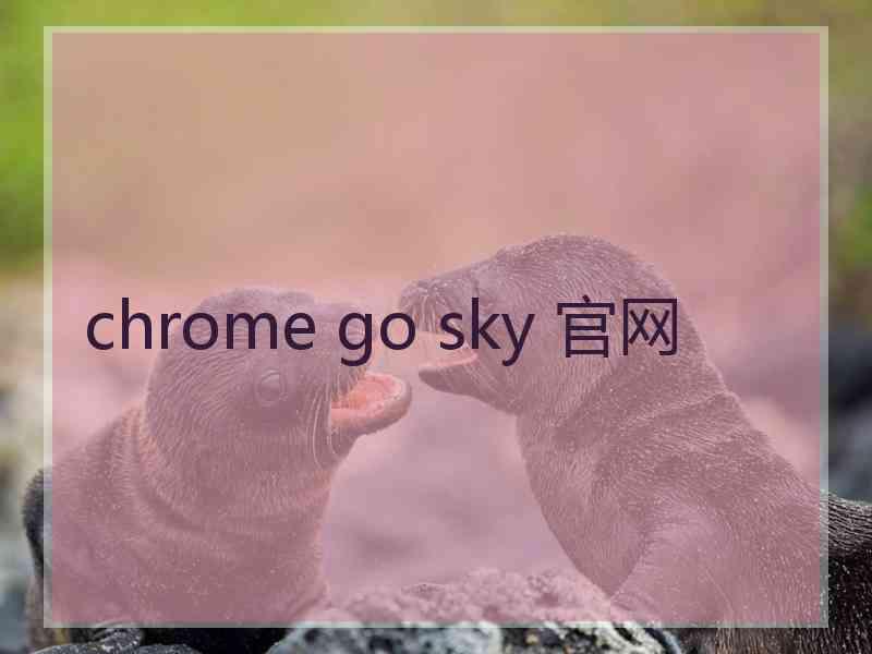 chrome go sky 官网