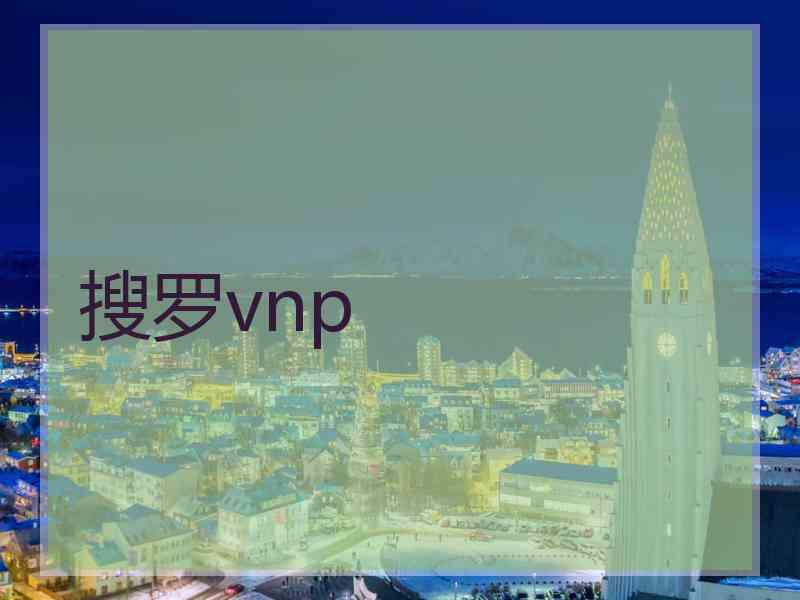 搜罗vnp