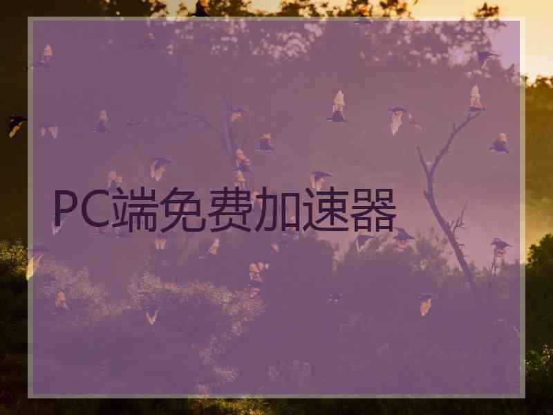 PC端免费加速器